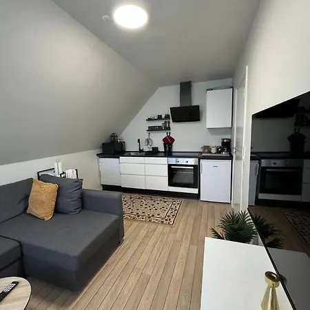 Charming House For 11 Persons In With Luxury Rooftop Deck & Free Parking 别墅