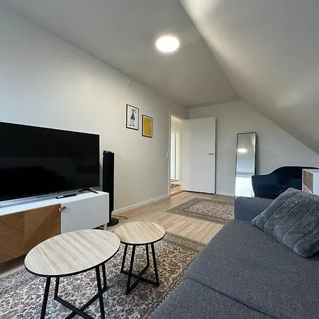 Charming House For 11 Persons In With Luxury Rooftop Deck & Free Parking * 欧登塞